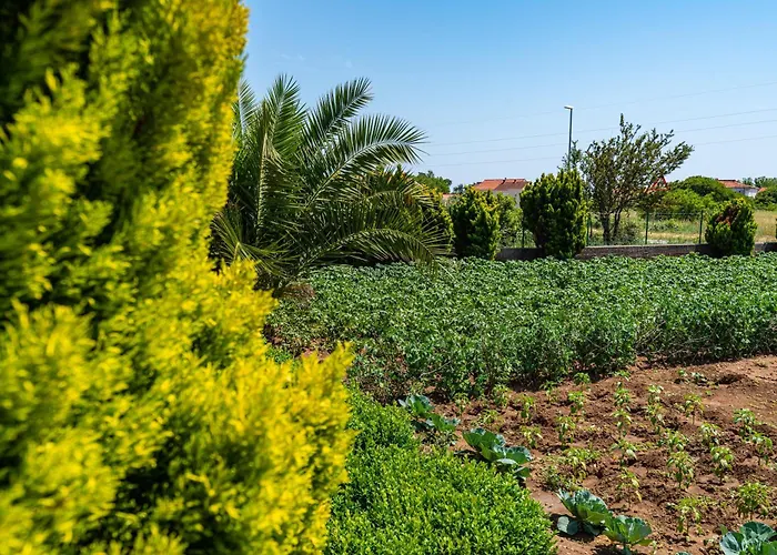 דירה Family-friendly With Swimming Pool Nin, Zadar - 18821 *